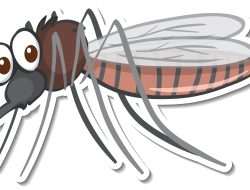 Alasan Kenapa Nyamuk Suka Terbang di Sekitar Telinga dan Bagaimana Cara Mengusirnya