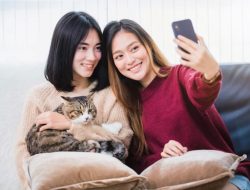 Ketahui 5 Hal Ini Sebelum Kamu Mengadopsi Kucing