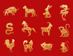 Zodiak Cina: Yuk Cari Tahu Apa Shio Kamu di Sini