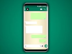 Aman, 5 Tips Agar Chat WhatsApp Tidak Diintip Orang Lain