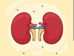 Ginjal Sehat, Hidup Lebih Kuat! Ini Cara Sederhana Menjaganya